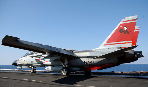 An F-14D Tomcat, assigned to the "Tomcatters" of Fighter Squadron Three One (VF-31), launches off the flight deck of the Nimitz-class aircraft carrier USS Theodore Roosevelt (CVN 71)