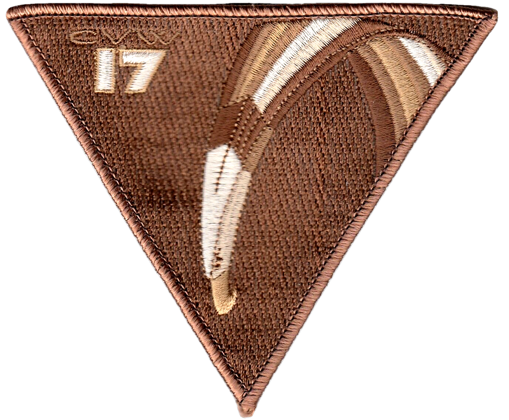 CARRIER AIR WING 17 DESERT COMMAND CHEST PATCH - PatchQuest