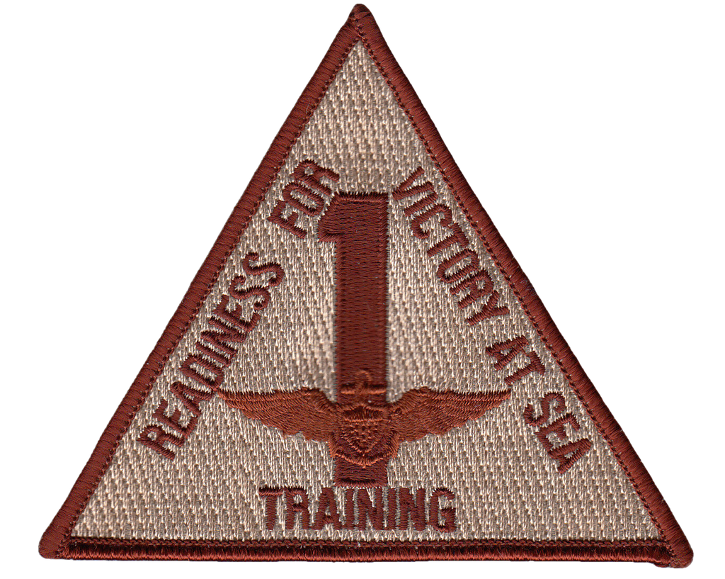 TRAINING AIR WING ONE DESERT COMMAND CHEST PATCH - PatchQuest